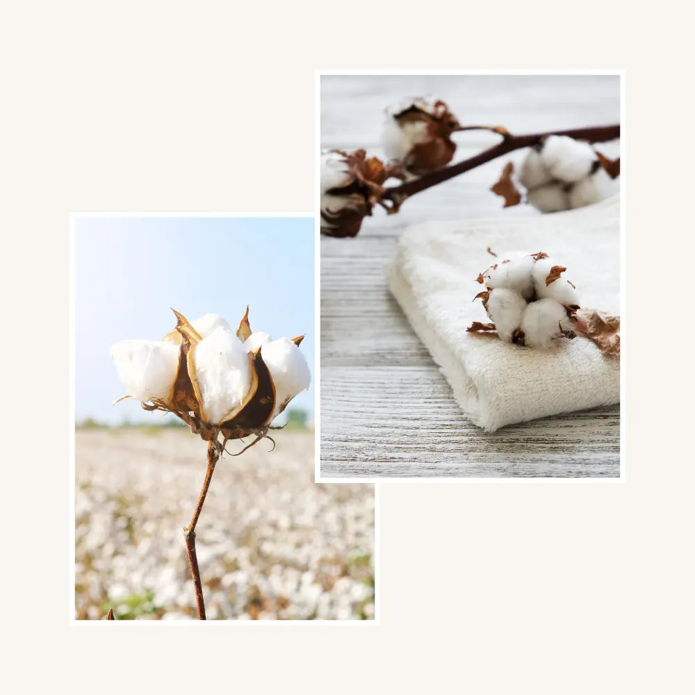 Vela Flor de Algodão 75g Luminancia Fragrances