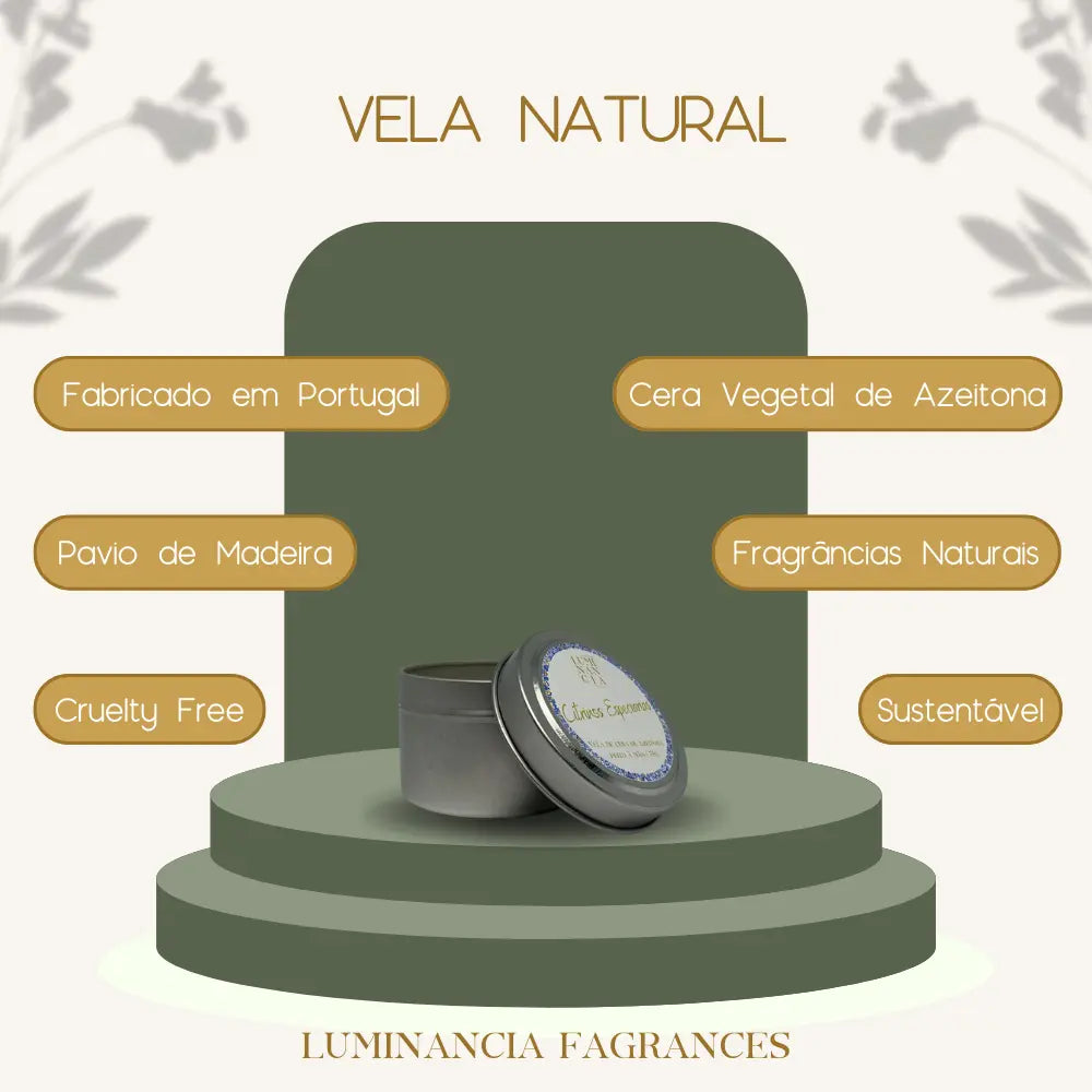 Vela Citrinos Especiarias 75g Luminancia Fragrances